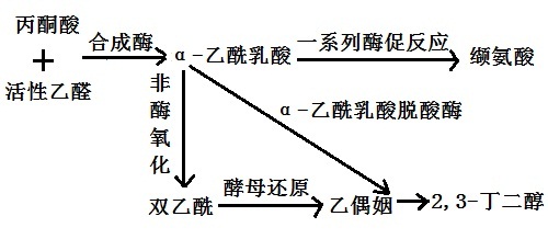 α-乙酰乳酸脱羧酶的作用机理图